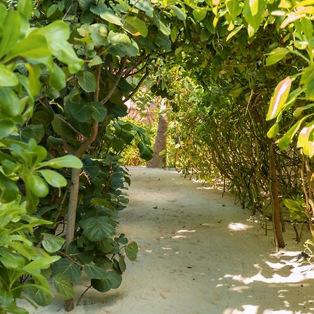 Tago Tulum By G Hotels Экстерьер фото