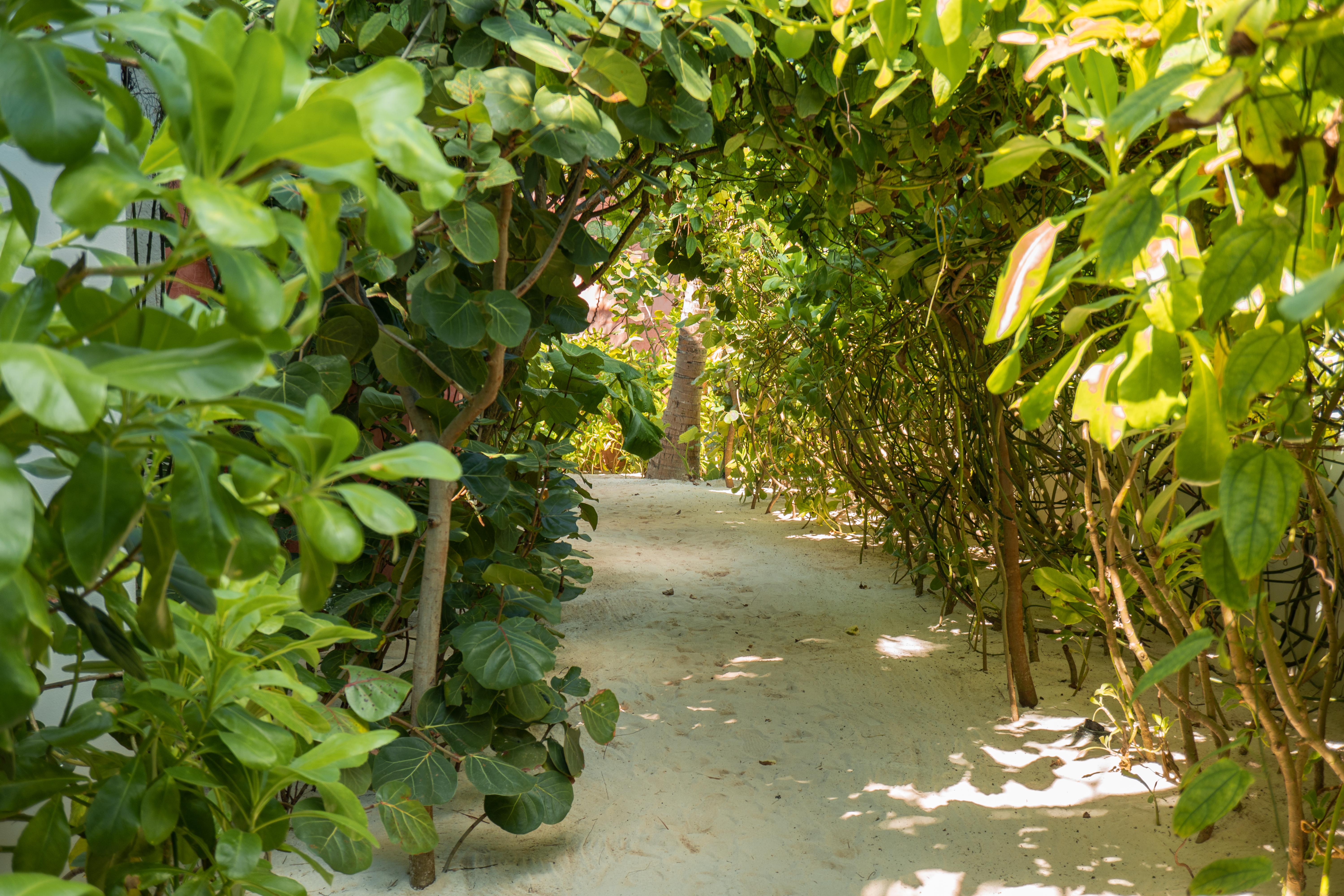 Tago Tulum By G Hotels Экстерьер фото
